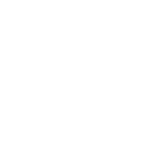 Barking Gecko Theatre Company