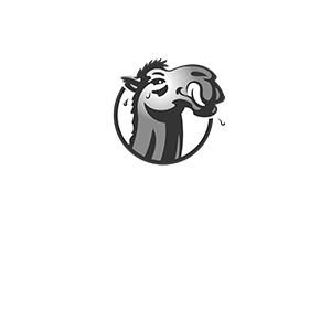 Thirsty Camel Bottleshop