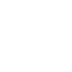 The Mushroom Group